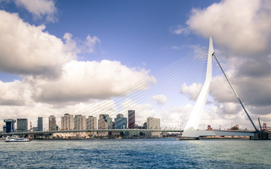 rondvaart in Rotterdam